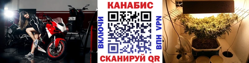 Шишки марихуана сатива Нефтегорск